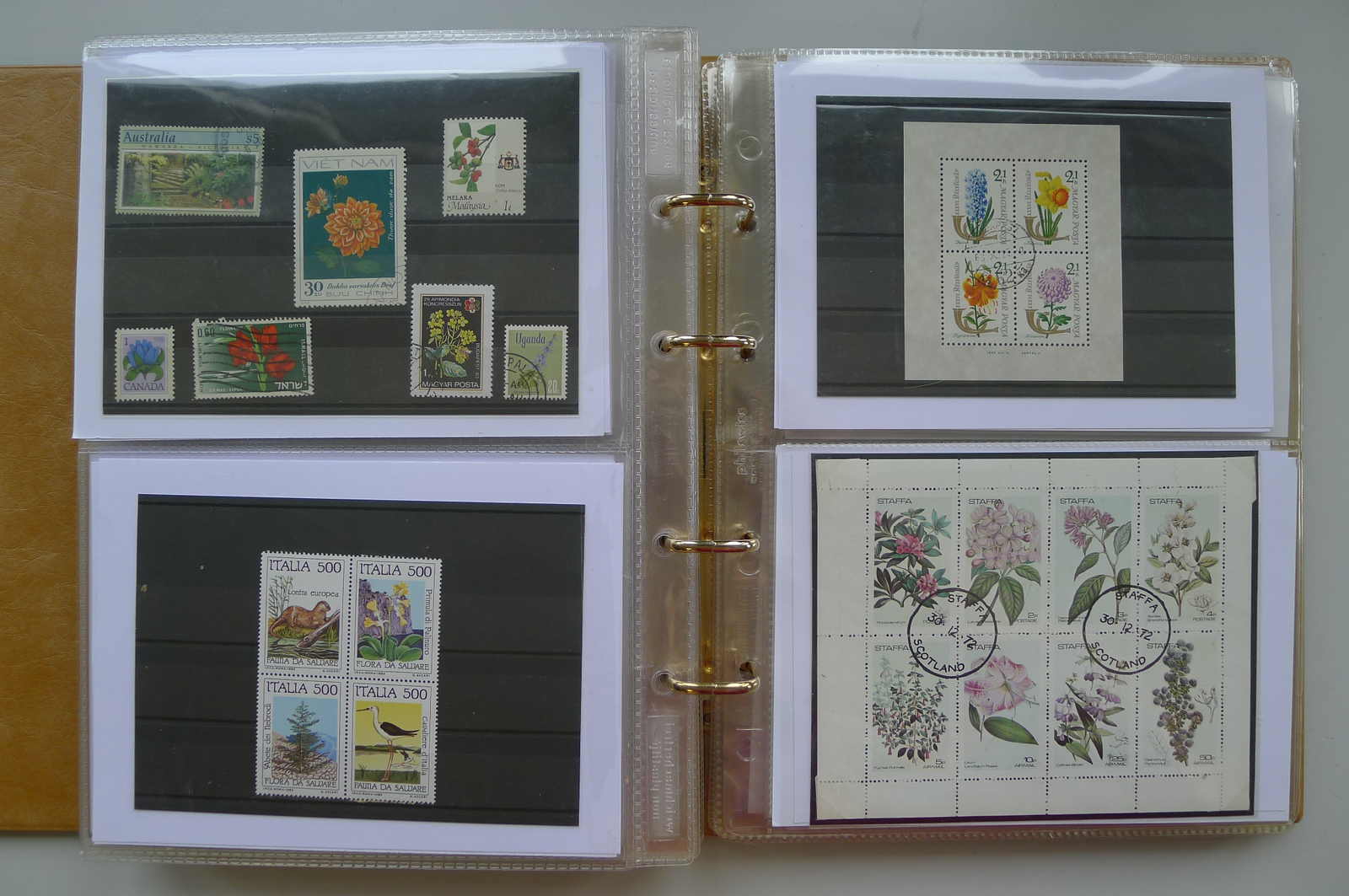 Image 80 for lot number 0006000962 for Luzernerraute Webshop 