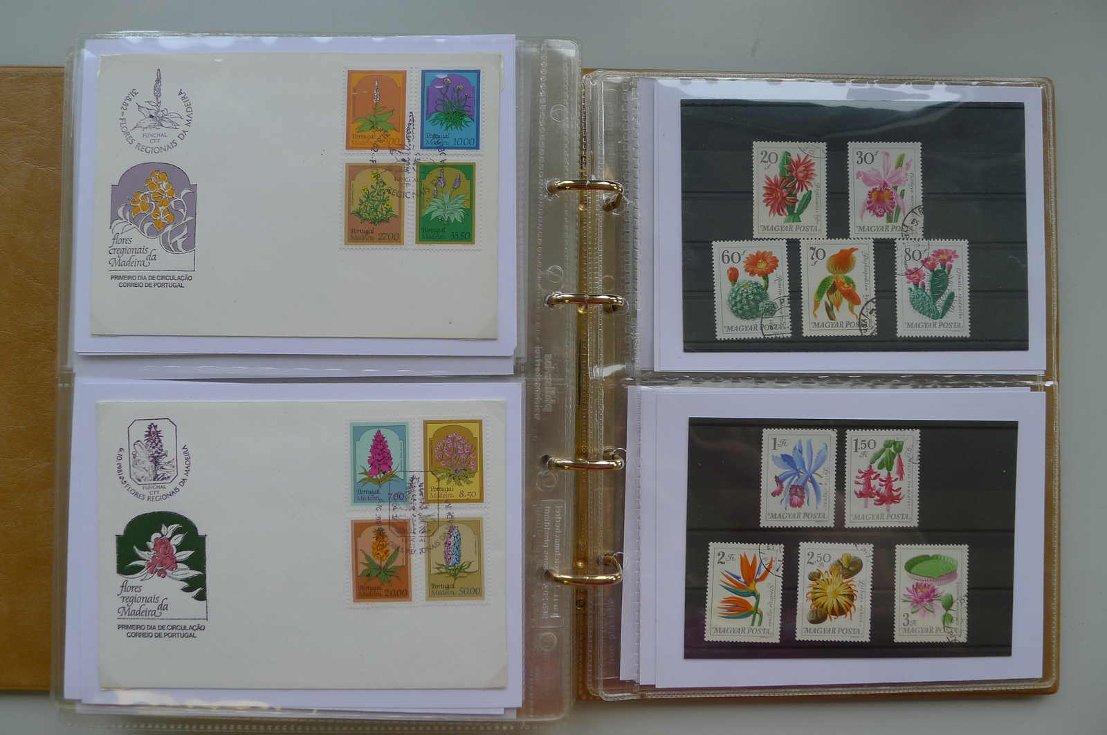 Image 81 for lot number 0006000962 for Luzernerraute Webshop 