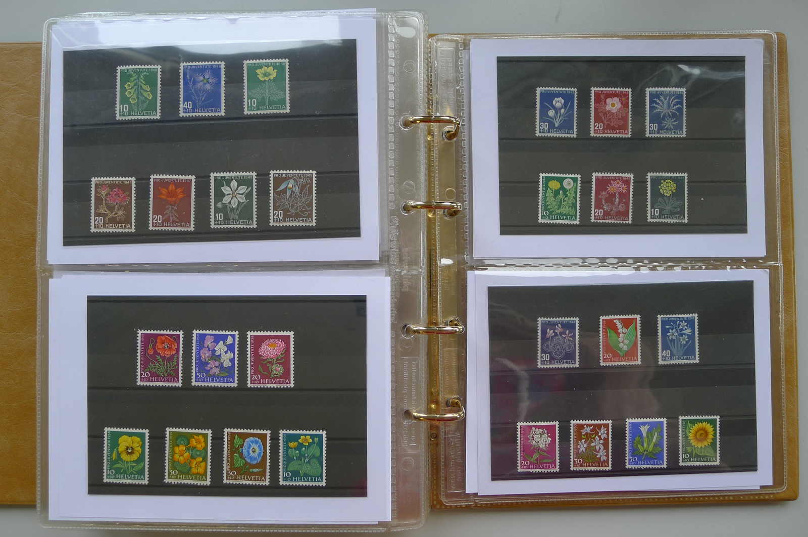 Image 82 for lot number 0006000962 for Luzernerraute Webshop 