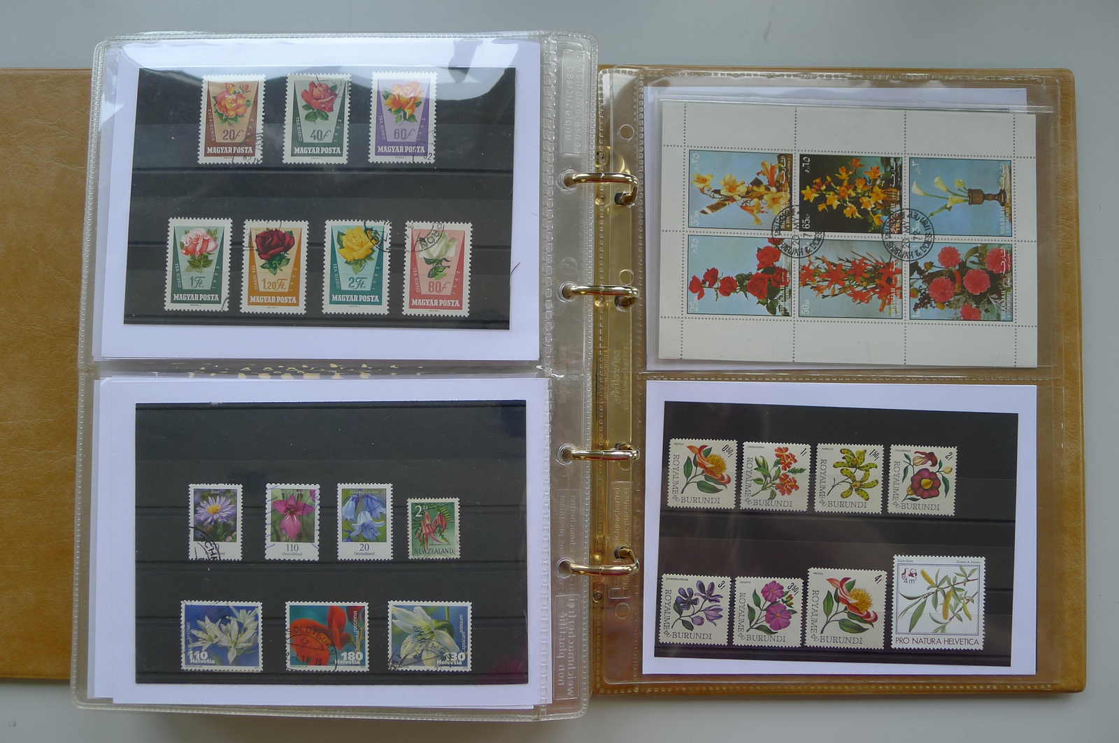 Image 83 for lot number 0006000962 for Luzernerraute Webshop 