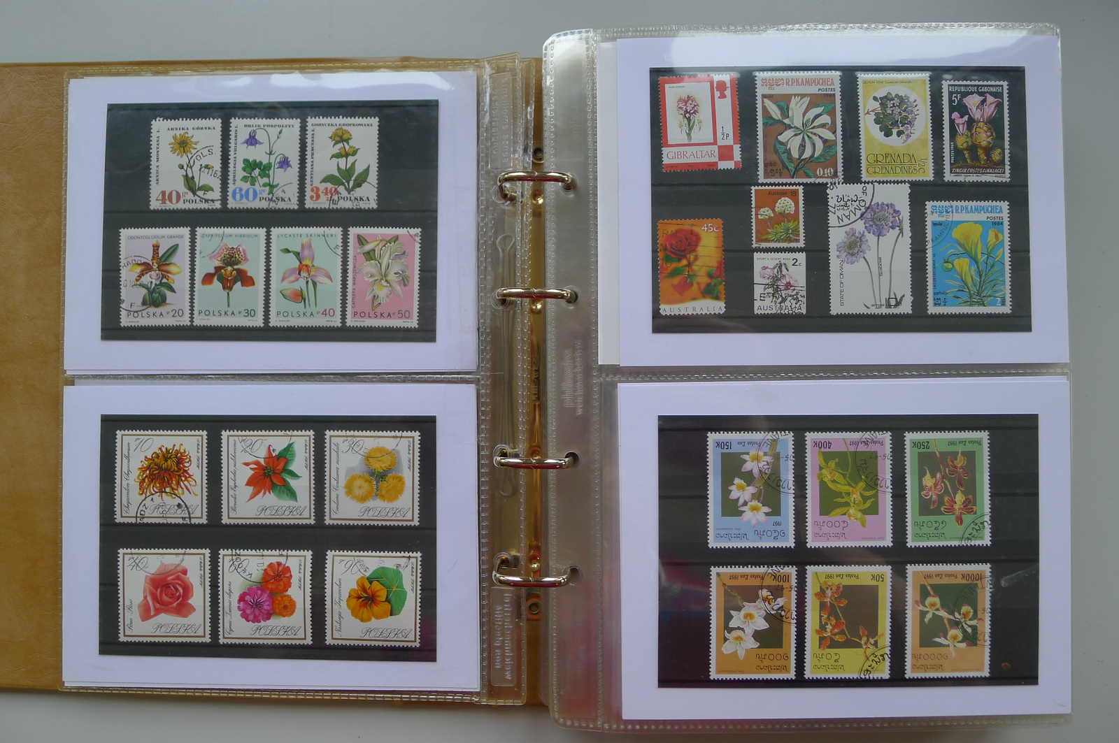 Image 84 for lot number 0006000962 for Luzernerraute Webshop 