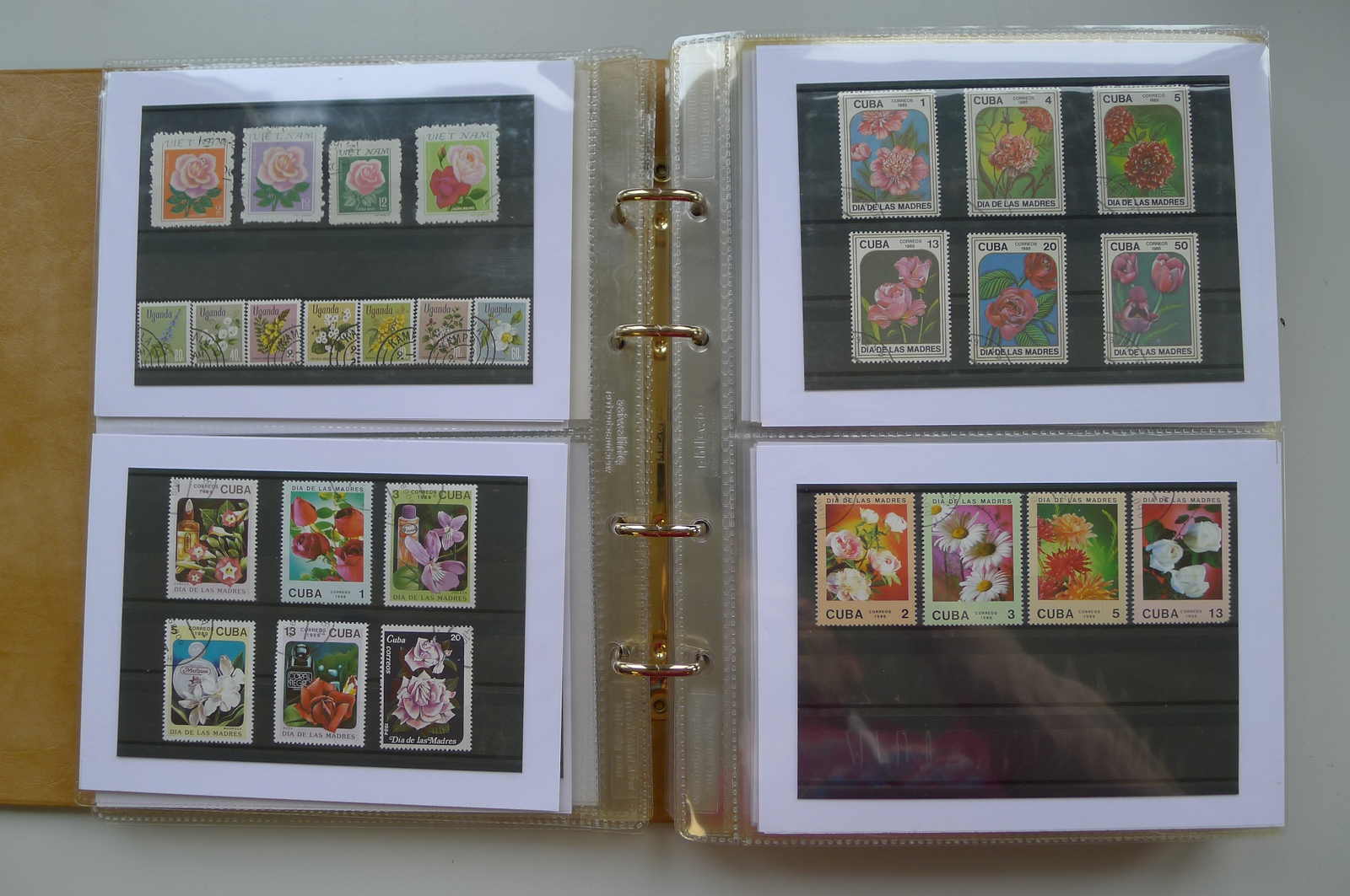 Image 87 for lot number 0006000962 for Luzernerraute Webshop 