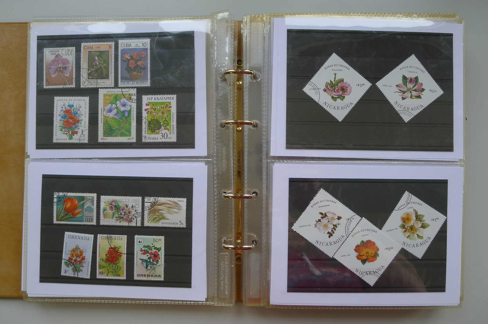 Image 88 for lot number 0006000962 for Luzernerraute Webshop 