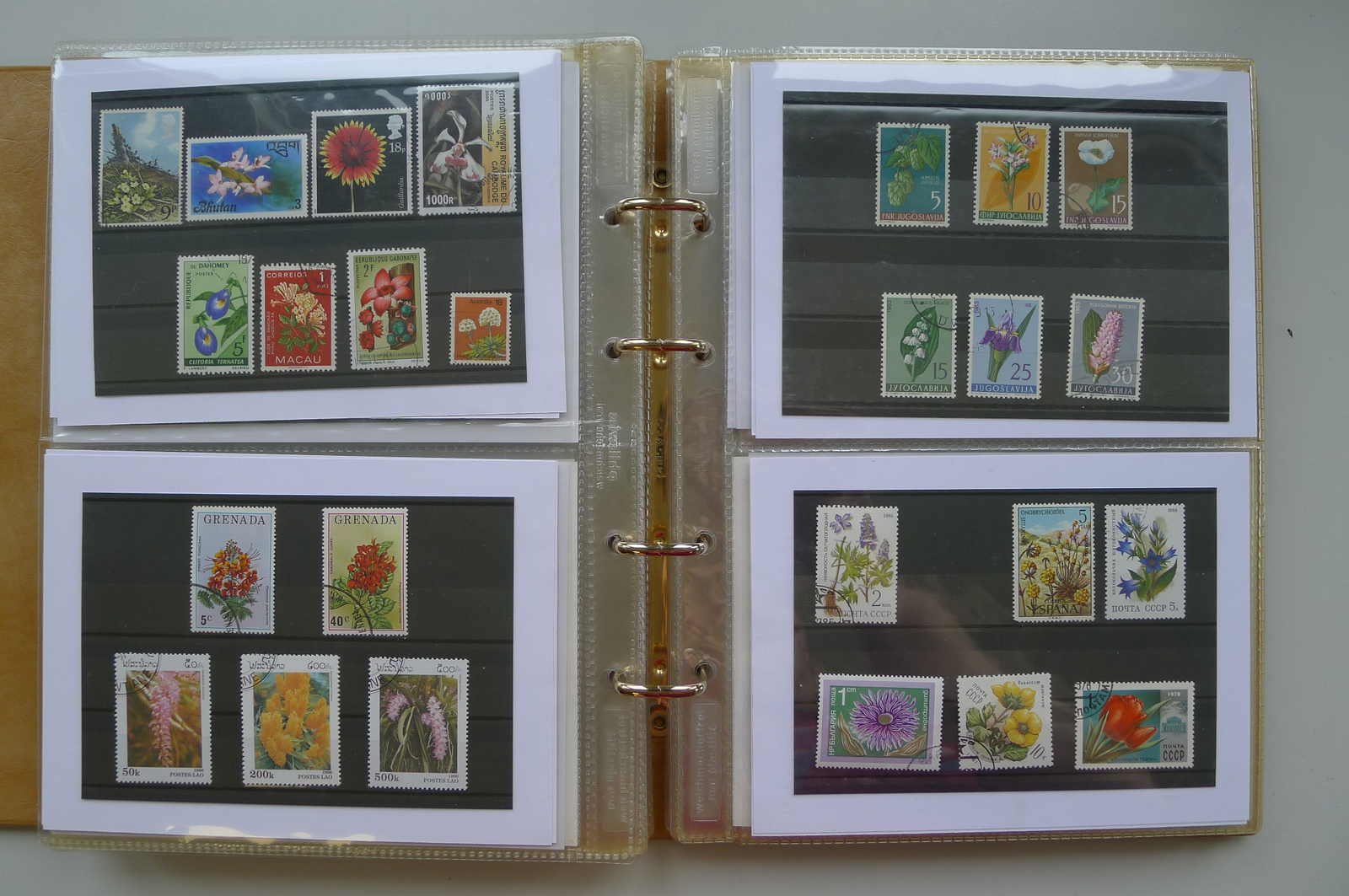 Image 91 for lot number 0006000962 for Luzernerraute Webshop 