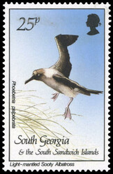 2480: フォークランド諸島