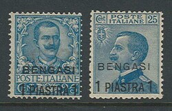 1 piastra su 25 c. n. 1/2. (800)