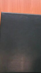 TRIESTE - Discreto inizio di collezione su fogli intestati a strisce ...