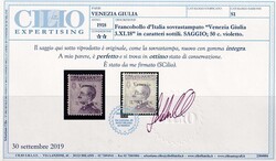 50 c. violetto con sovrastampa di saggio, n. S1, splendido e raro ...