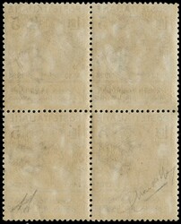 1924 - Semi-Official Entities: 5L dark brown 'CASSA NAZIONALE ASSIC. ...