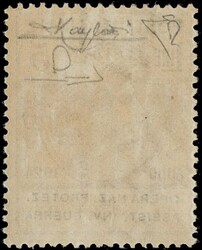 1924 - OPERA NAZ. PROTEZ. ASSIST. INV. GUERRA 5L bruno scuro SL. ...