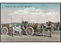 Postcard of Aden sent to Trieste 1912., by ship HABSBURG OE. LLOYD. ...