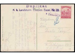 Postcard of Rijeka, written in Rijeka, franked with Hungarian stamp ...