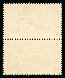 10s grey-blue, mint vertical pair, top stamp showing minor variety ...