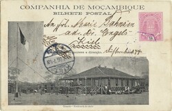 Mozambique Company * 1904 – Elephants, with engravings of local ...