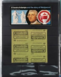 Carton of British Commonwealth with GB booklet collection (FV £70+) ...