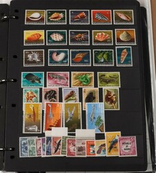 Quantity in carton with WWF 1990s-2000s MNH/FDC sets (9) inc Cocos Is ...
