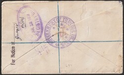 1893 Registered cover franked 1st issue set 1d & 10d tied by 'Cook ...