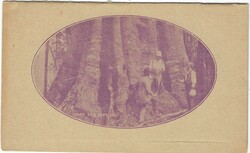 Picture 1 for Lot from CompuStamp