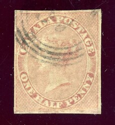 1 P. rosa, sauber gest., unten vermutl. repariert (Katalogwert: 600)