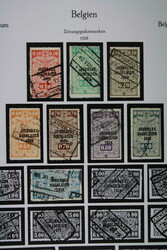 BELGIEN, ZEITUNGSPAKETMARKEN, kl. gemischte Sammlung auf ...
