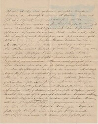 1902 (29.08.) Hertenstein, Luzern, dekorativer Briefkopf "Schloss ...