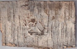 1985 (03.08.) Puumala, Finnland, Postkart aus Birkenrinde!! in gutem ...