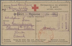 Kriegsgefangenen-Lagerpost, 1919, Rotkreuzkarte aus dem sibirischen ...