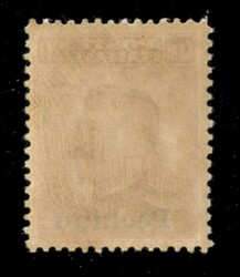 1917 - 20 cent Michetti (12) - gomma integra - ottimamente centrato