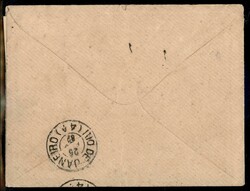 Busta affrancata con 10 kreuzer (38) da Vienna per Rio de Janeiro ...