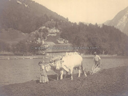 Lot - 445 Fotos Nachlass Dr Kuhlo Steyrling viel Bezirk Kirchdorf ...