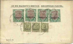 3005: India - Official stamps