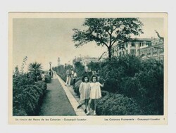 2425: Équateur - Postal stationery