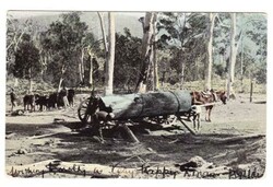 Picture 1 for Lot from Triple S Postal History
