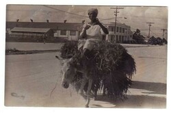 Picture 2 for Lot from Triple S Postal History