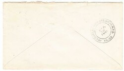Sc#294(x2)-ALGOMA(Kewaunee County)WISCONSIN-SEP/17/1901-to Detroit