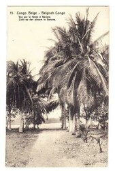 Belgian Congo PICTORIAL Postal Card-HG:44(view 15)-uprated ...