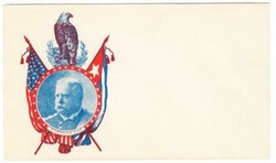 SPANISH AMERICAN WAR PATRIOTIC-BICOLOR EAGLE FLAGS,FITZHUGH ...