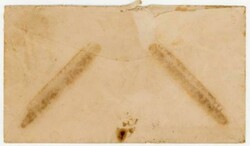 Galapagos Islands U.S.S HOUSTON PRESIDENTIAL ...