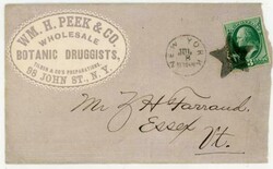 NEW YORK N.Y.-FANCY STAR CANCEL-3c BANKNOTE-WM.H.PEEK & CO-BOTANIC ...