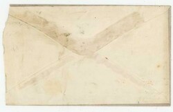 NEW YORK N.Y.-FANCY STAR CANCEL-3c BANKNOTE-WM.H.PEEK & CO-BOTANIC ...