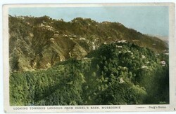 India SG#123-BARLOGUNGE-13/JU/07(ATTARAKHAND)-Real Photo View LOOKING ...