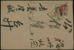 2070: La Chine - Postage due stamps