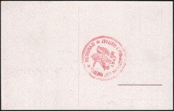 1947 Yougoslavie - Yv. 463 sur carte maximum obl 15-22 juin 1947 - ...