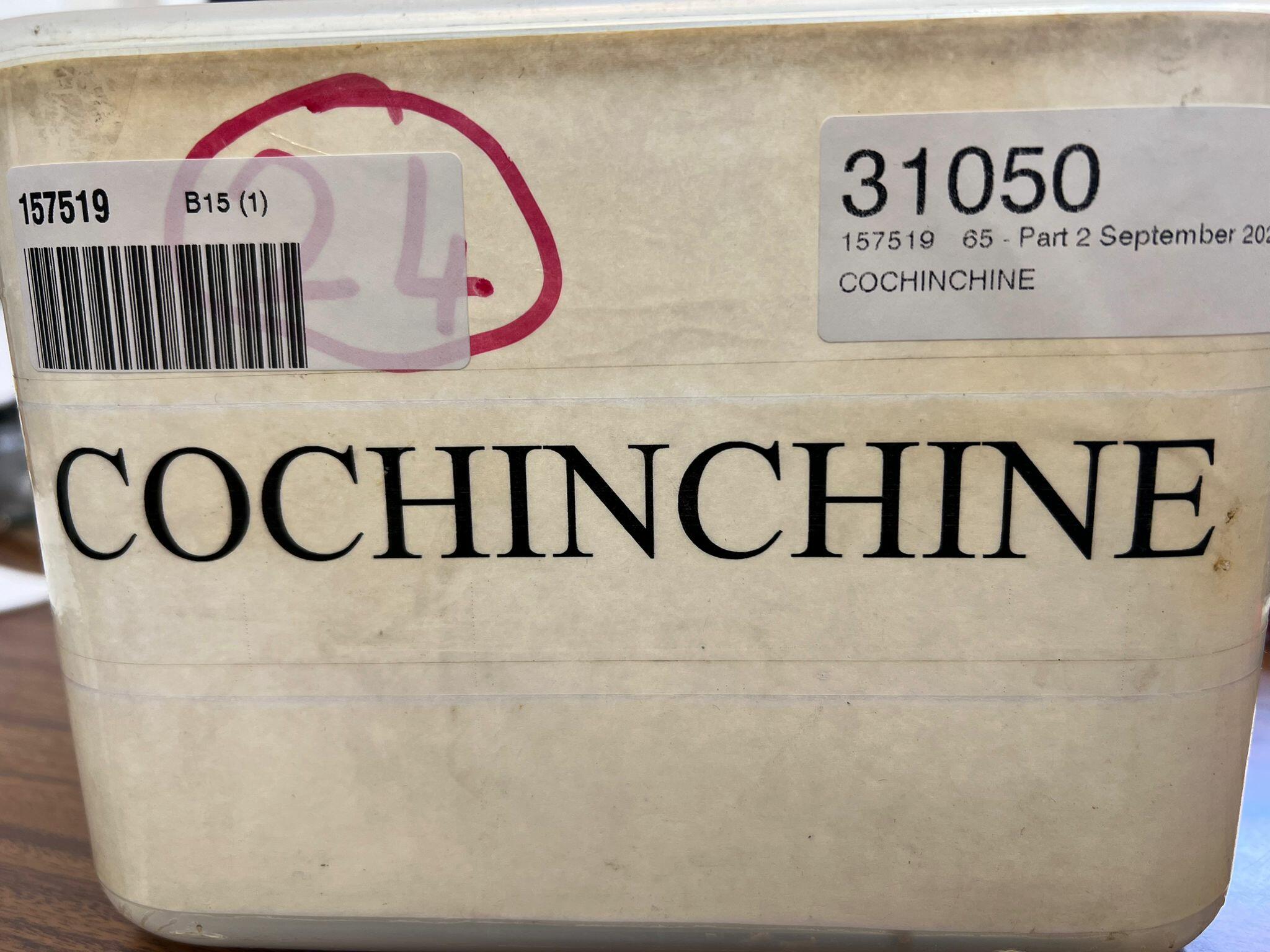 COCHINCHINE environ 260 lettres 1900-1955 dont entiers postaux, ...