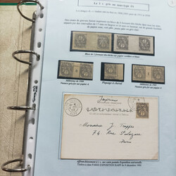 1900 Très intéressante collection d'exposition au TYPE BLANC 1 ...