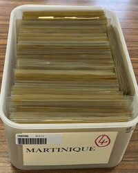 4400: マルティニーク