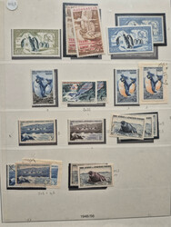 1948-2022, Collection des TAAF en 5 albums, neuf, dont Albatros, ...