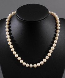 550: Jewelry