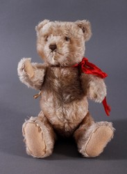700.20: Teddies