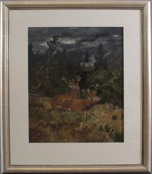 30: Aquarelle, Zeichnungen